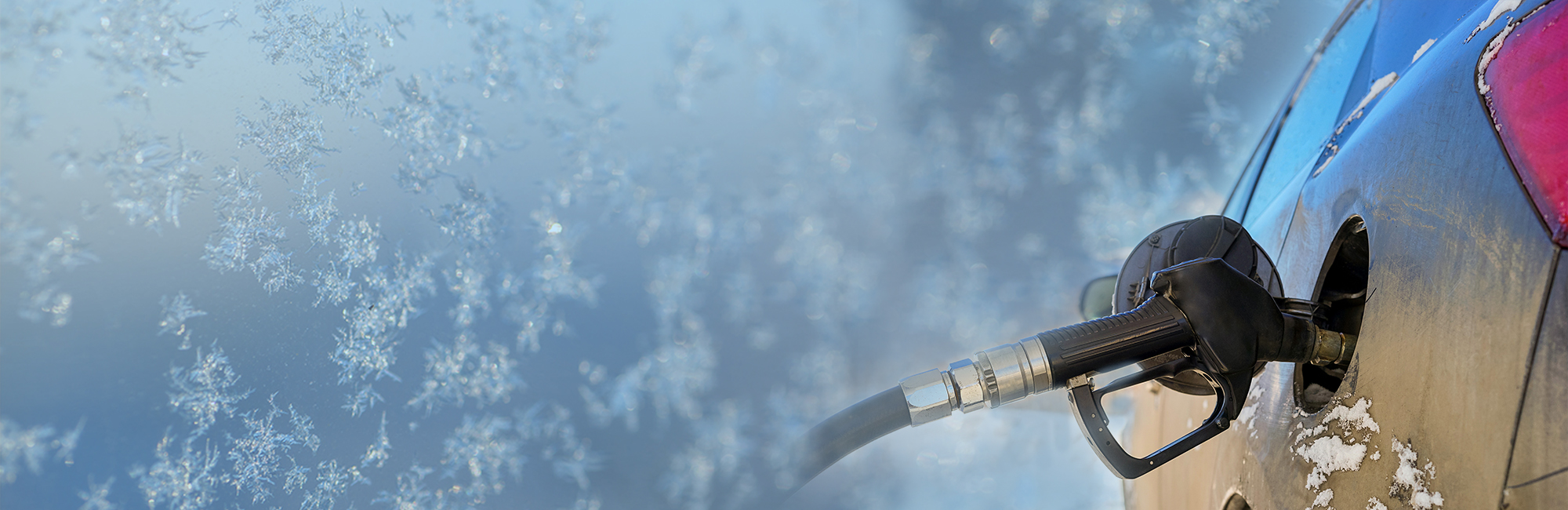 Actualité_astuces_froid